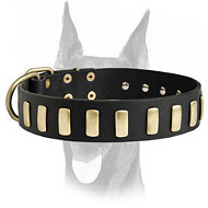 Gorgeous Wide Leather Dog Collar With Plates  Gorgeous Wide Leather Dog Collar With Plates