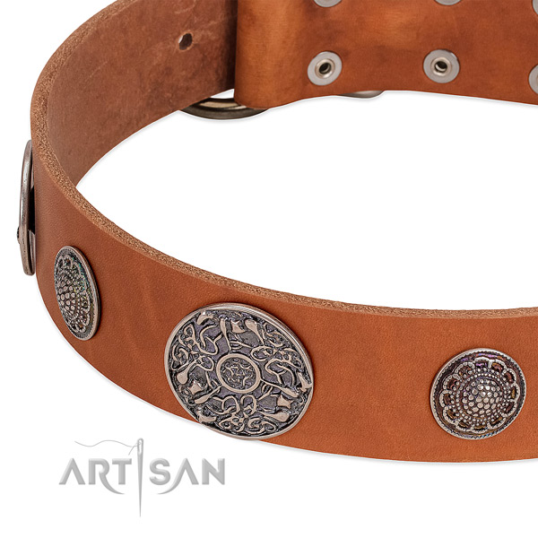 Strong traditional buckle on full grain natural leather dog collar