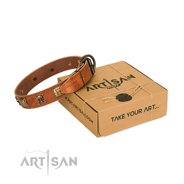 Awesome full grain genuine leather dog collar with rust-proof adornments