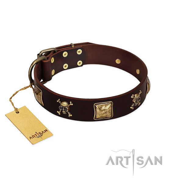 High quality full grain natural leather dog collar with extraordinary decorations