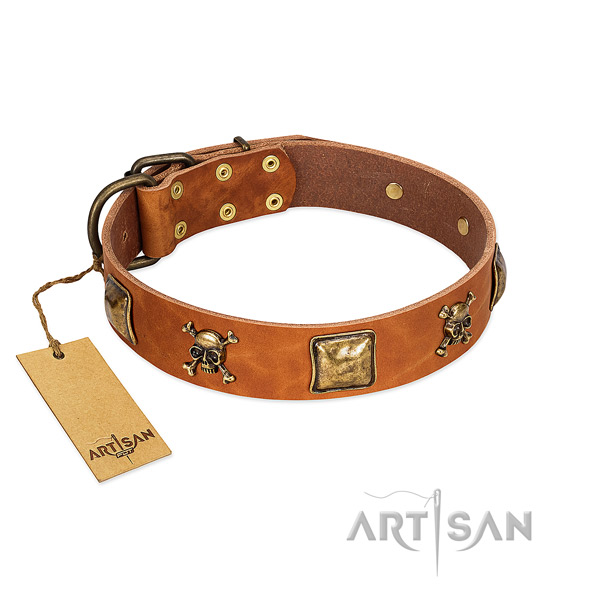 Awesome genuine leather dog collar with reliable embellishments