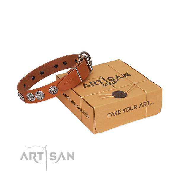 Awesome full grain natural leather collar for your dog walking in style