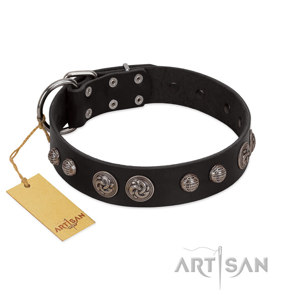 Adorned genuine leather dog collar for fancy walking