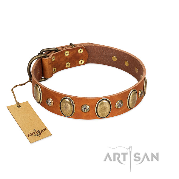 Full grain natural leather dog collar of top notch material with unique studs