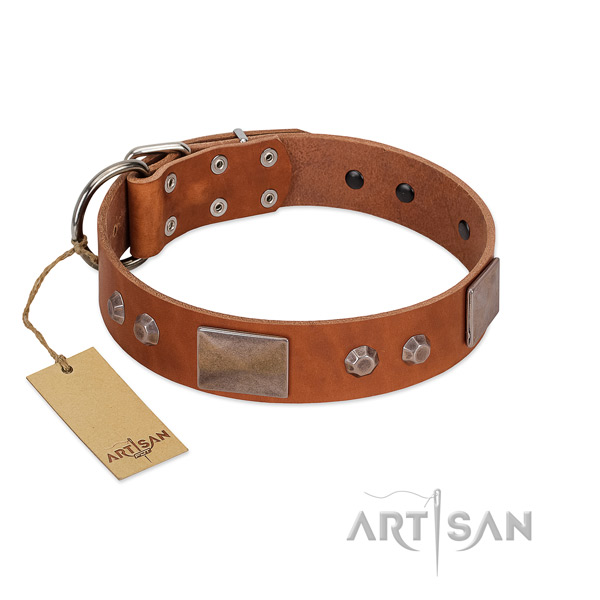 Unique full grain leather dog collar with durable buckle