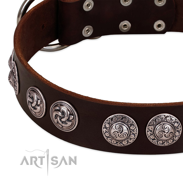 Stunning genuine leather collar for your dog stylish walks