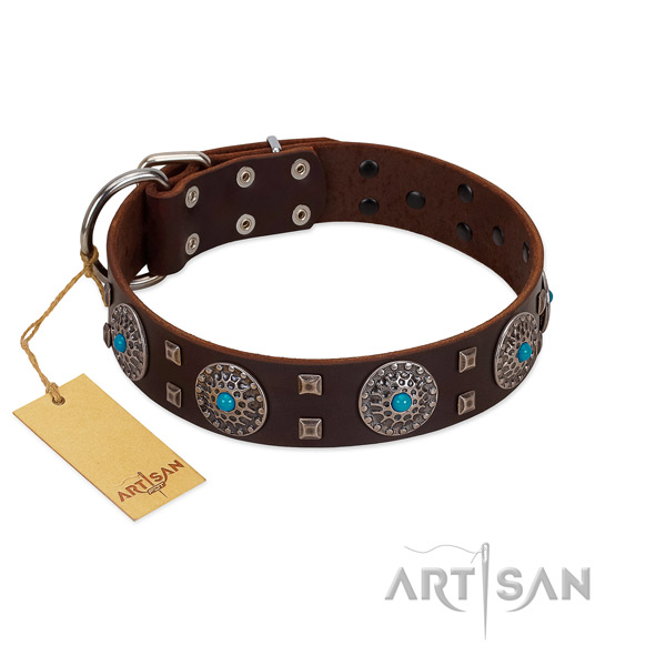 Handy use full grain natural leather dog collar with unique adornments