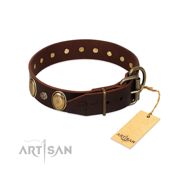 Everyday use high quality leather dog collar