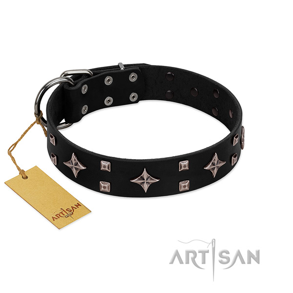 Extraordinary full grain leather collar for your canine walking