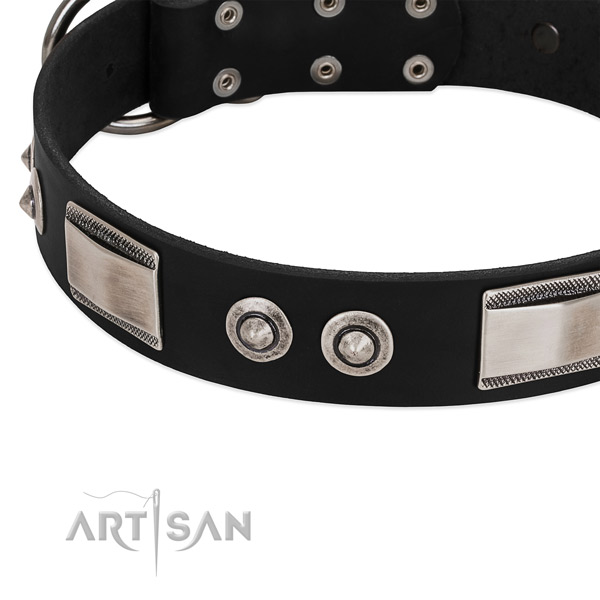 Top notch collar of full grain natural leather for your handsome doggie