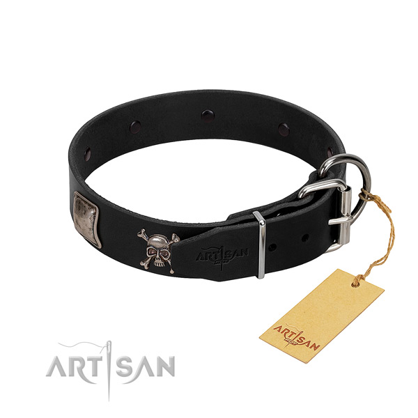 Exquisite leather collar for your beautiful pet