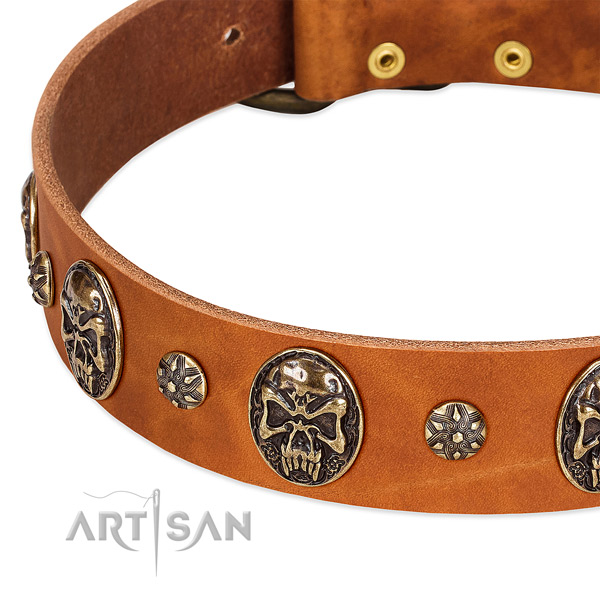 Strong adornments on genuine leather dog collar for your pet