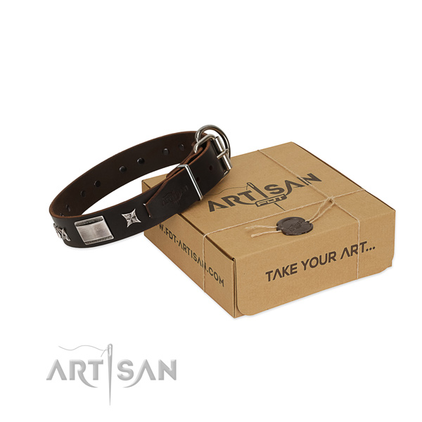 Fine quality collar of full grain leather for your attractive canine