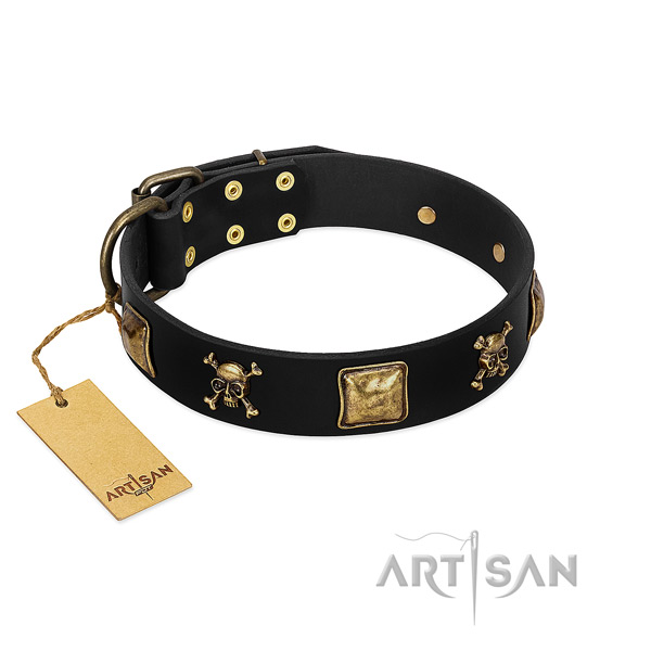 Top notch full grain natural leather collar with adornments for your doggie