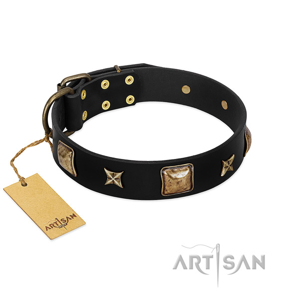 Full grain leather dog collar of flexible material with significant decorations