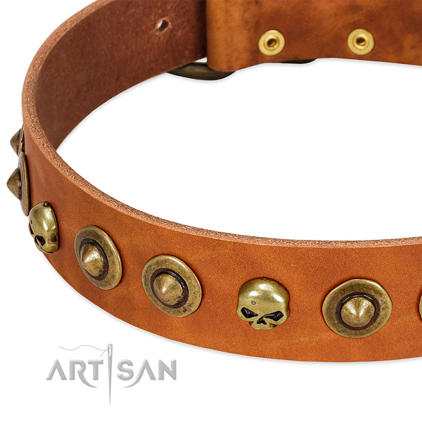 Exquisite adornments on full grain genuine leather collar for your doggie
