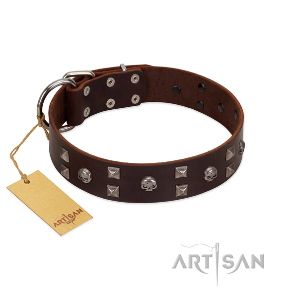 Fancy walking dog collar of leather with unique decorations