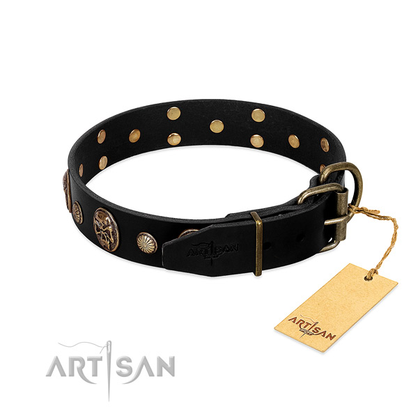 Reliable fittings on natural leather collar for stylish walking your pet