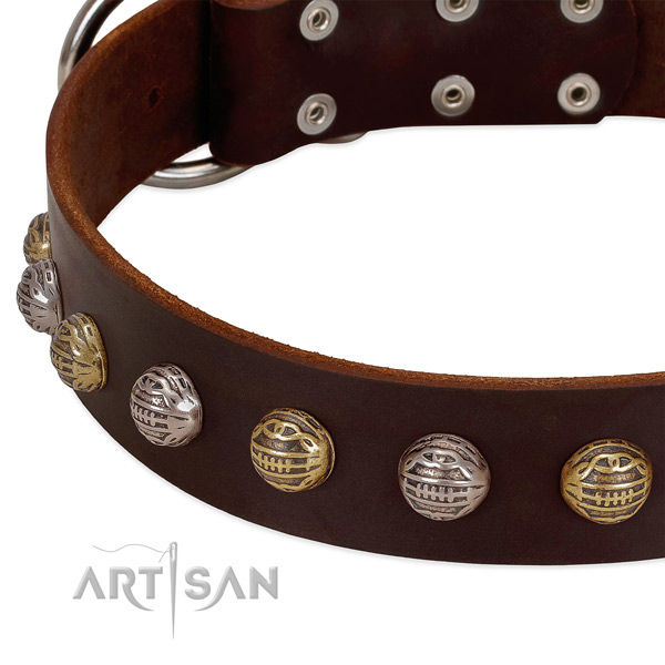 Full grain genuine leather dog collar with rust-proof traditional buckle and adornments