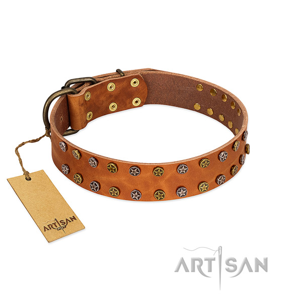Walking gentle to touch natural leather dog collar with adornments