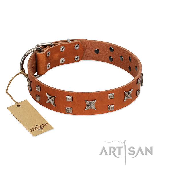Best quality leather dog collar with decorations for daily walking