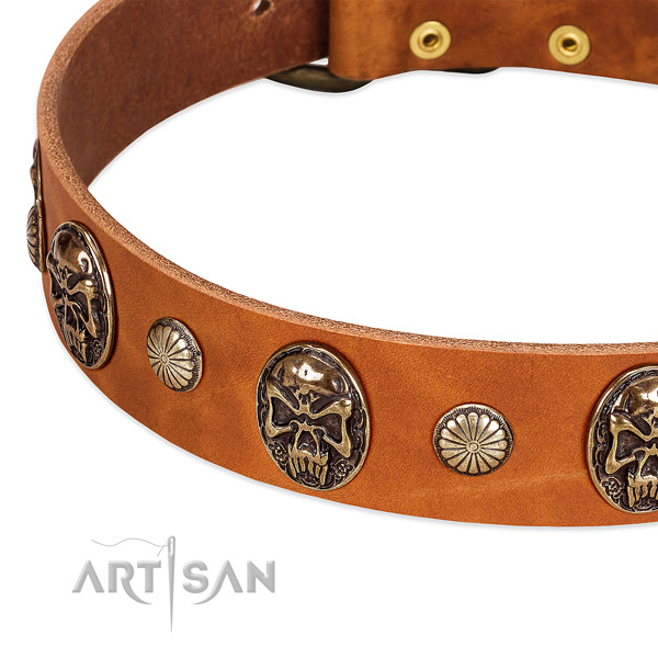 Corrosion proof adornments on full grain natural leather dog collar for your dog