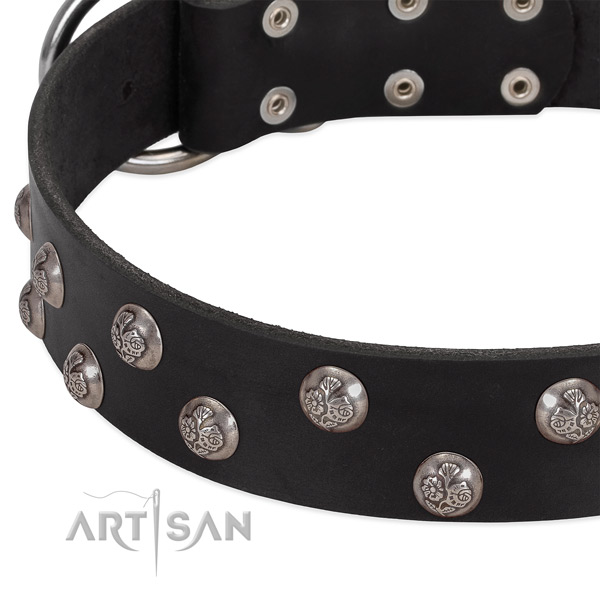 Leather dog collar with rust-proof buckle and studs