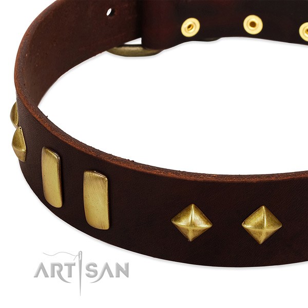 Reliable leather dog collar with inimitable decorations