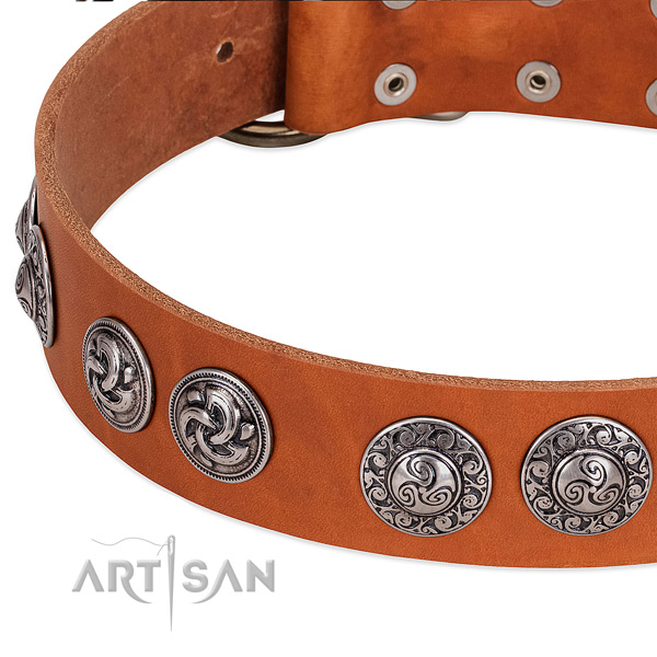 Fine quality leather dog collar for easy wearing