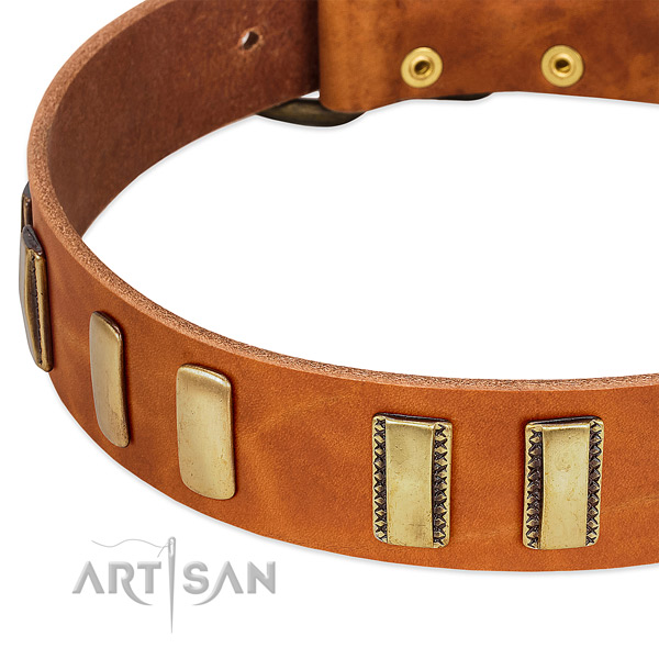 Flexible full grain leather dog collar with studs for fancy walking