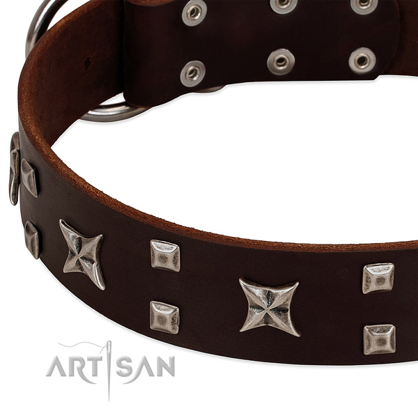 Flexible full grain natural leather dog collar with studs for easy wearing