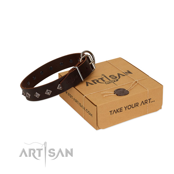 Extraordinary studs on full grain leather dog collar for daily walking