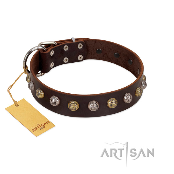 Rust resistant buckle on full grain leather dog collar for basic training your canine