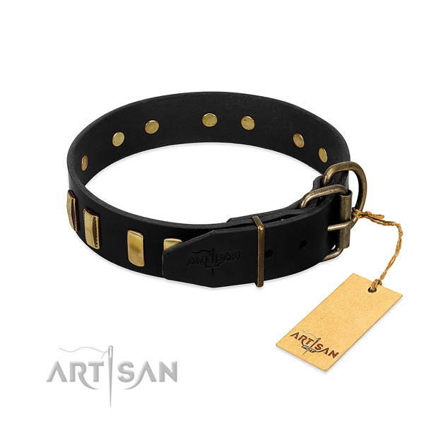 Full grain genuine leather dog collar with durable hardware for daily use