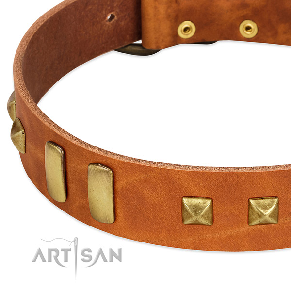 Flexible natural leather dog collar with decorations for comfy wearing