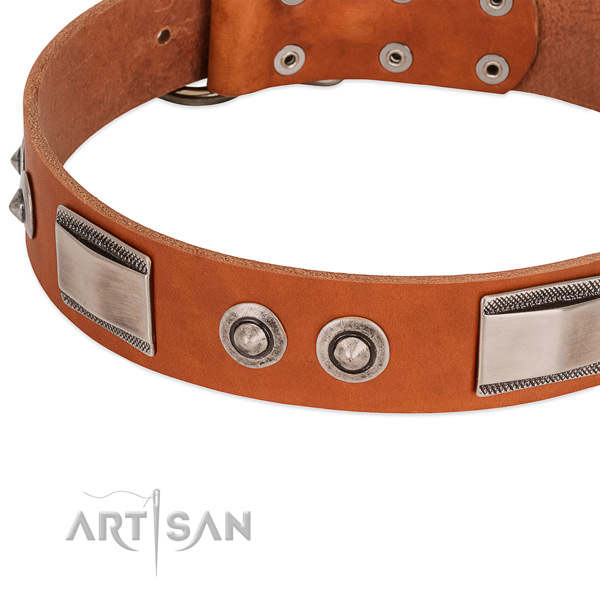 Comfortable full grain natural leather collar with adornments for your dog