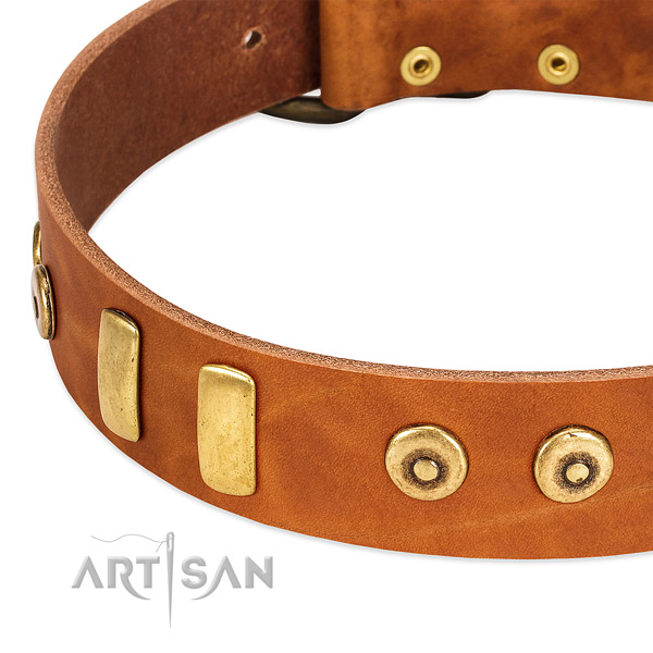 Strong genuine leather collar with remarkable adornments for your dog