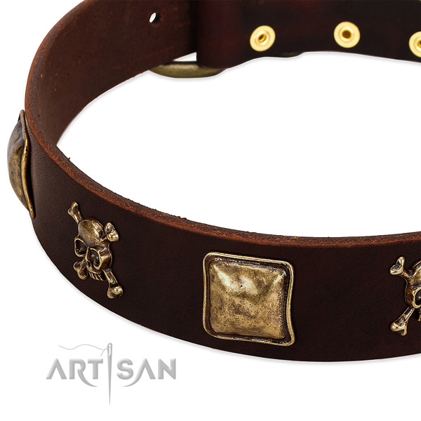 Soft to touch full grain leather dog collar with trendy studs
