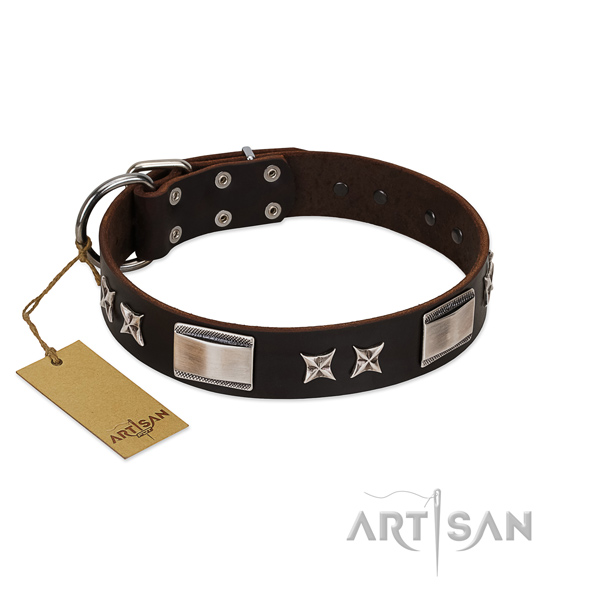 Comfortable dog collar of leather