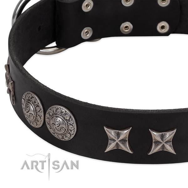High quality full grain natural leather dog collar with studs