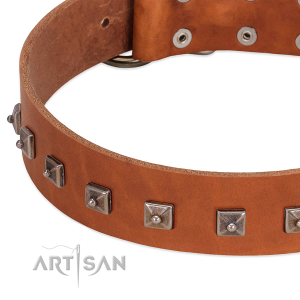 Reliable leather dog collar with stylish decorations