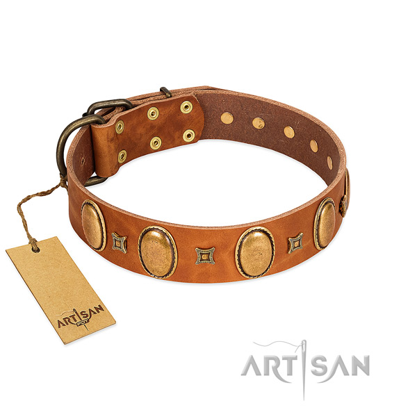 Full grain leather dog collar with significant studs for comfy wearing