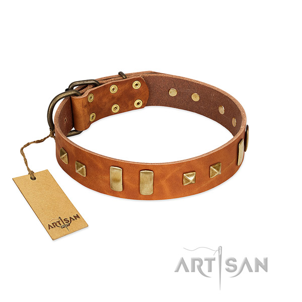 Natural leather dog collar with rust-proof fittings