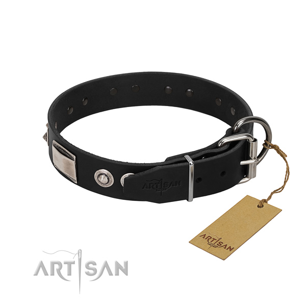 Studded collar of full grain leather for your four-legged friend