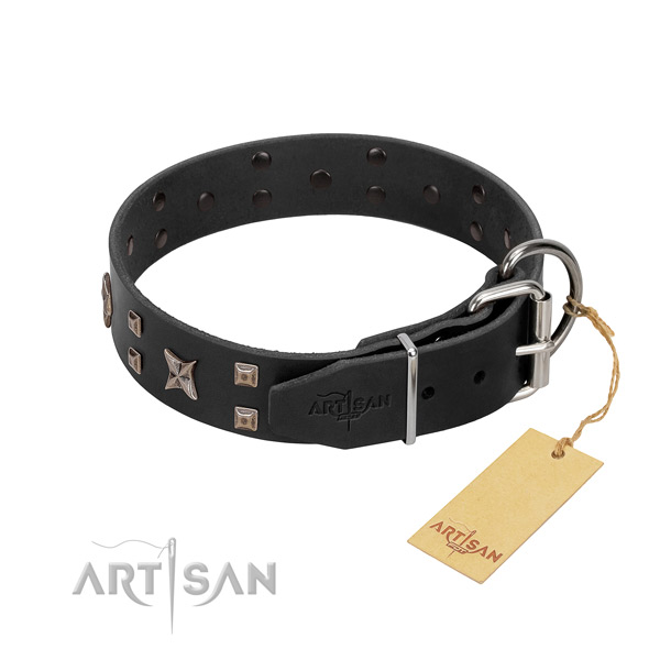 Soft full grain leather dog collar for your handsome dog