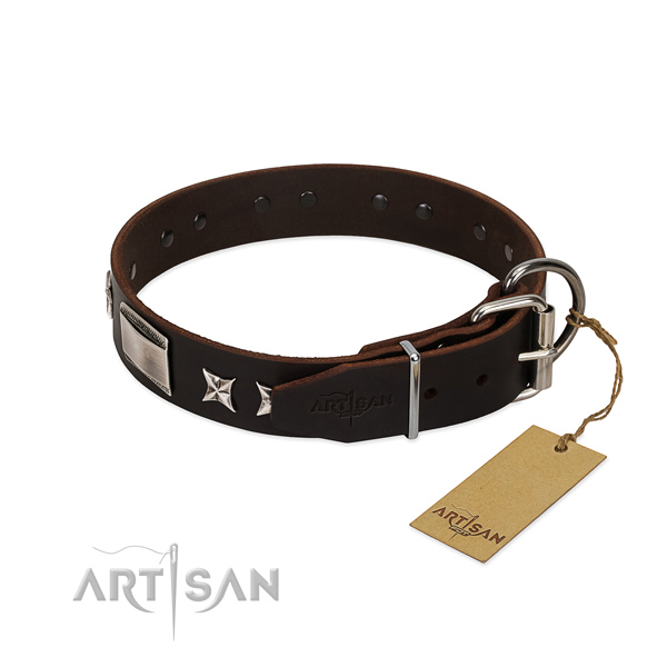 Stylish collar of natural leather for your attractive four-legged friend
