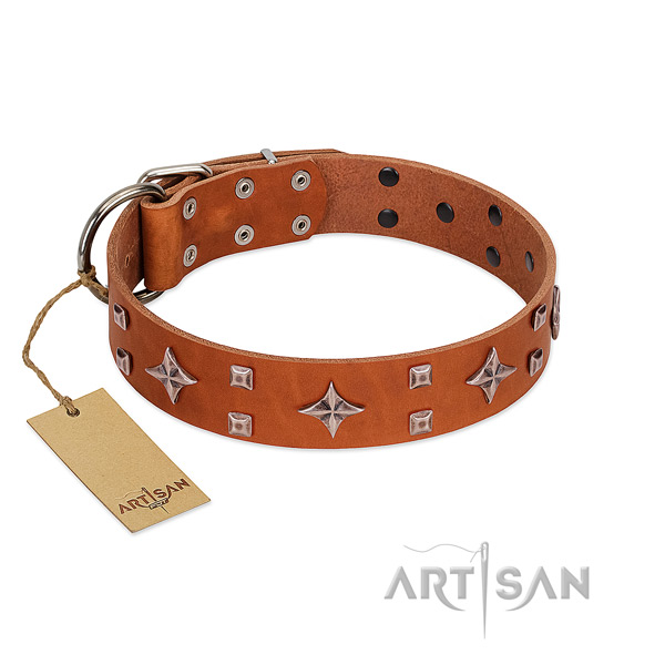 Remarkable genuine leather collar for your doggie stylish walking