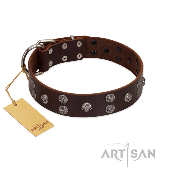 Daily use embellished full grain leather collar for your four-legged friend