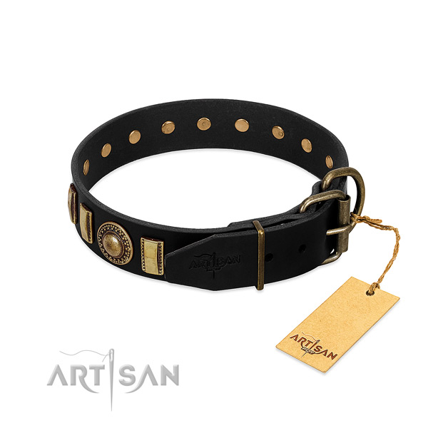 Durable leather dog collar with embellishments