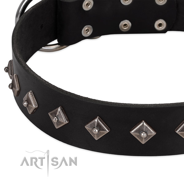 Comfortable collar of leather for your impressive pet